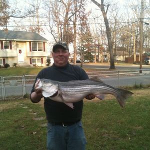 Meet your Posher, Jack